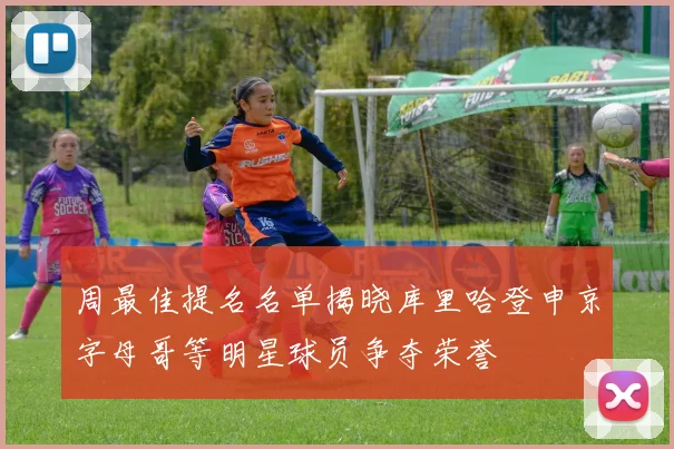 周最佳提名名单揭晓库里哈登申京字母哥等明星球员争夺荣誉