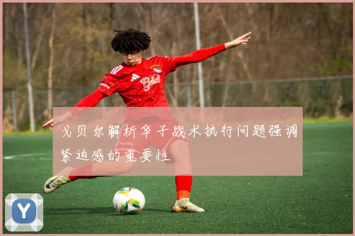 戈贝尔解析华子战术执行问题强调紧迫感的重要性