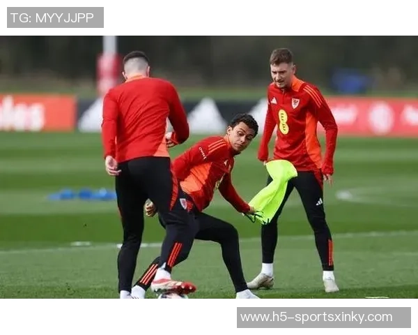 比利时主帅坚定信念力争胜利不惧平局挑战 比利时主帅坚定信念力争胜利不惧平局挑战